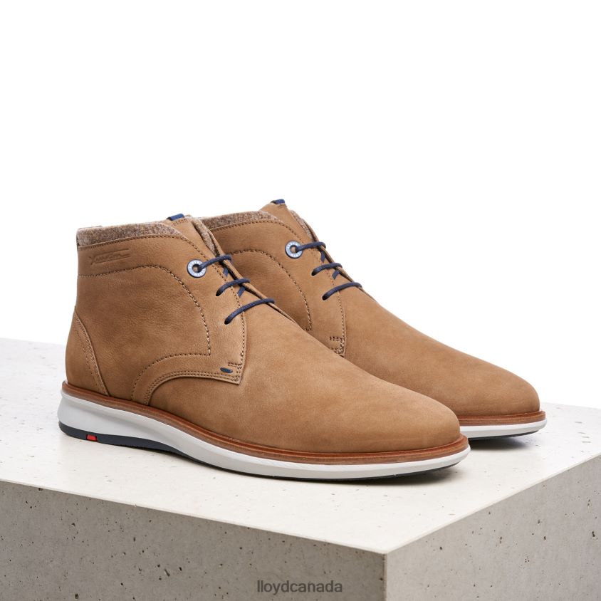 MAXWELL LLOYD Men brown R084ZF275 Shoes