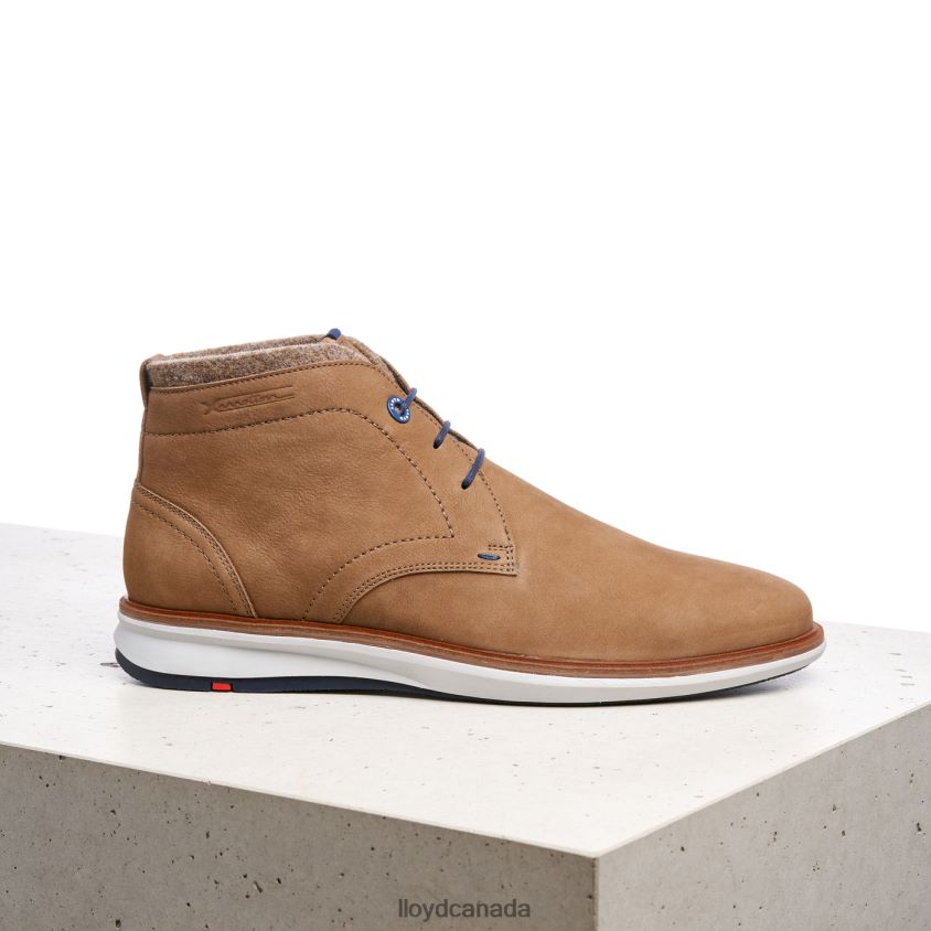 MAXWELL LLOYD Men brown R084ZF275 Shoes