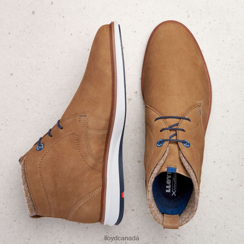MAXWELL LLOYD Men brown R084ZF275 Shoes