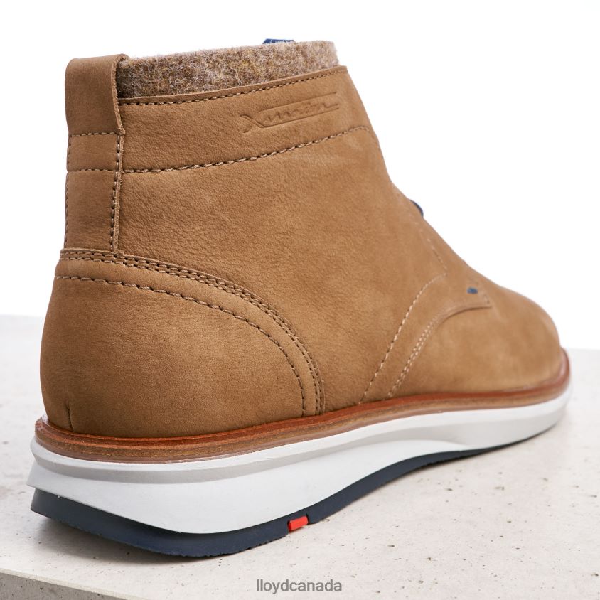 MAXWELL LLOYD Men brown R084ZF275 Shoes