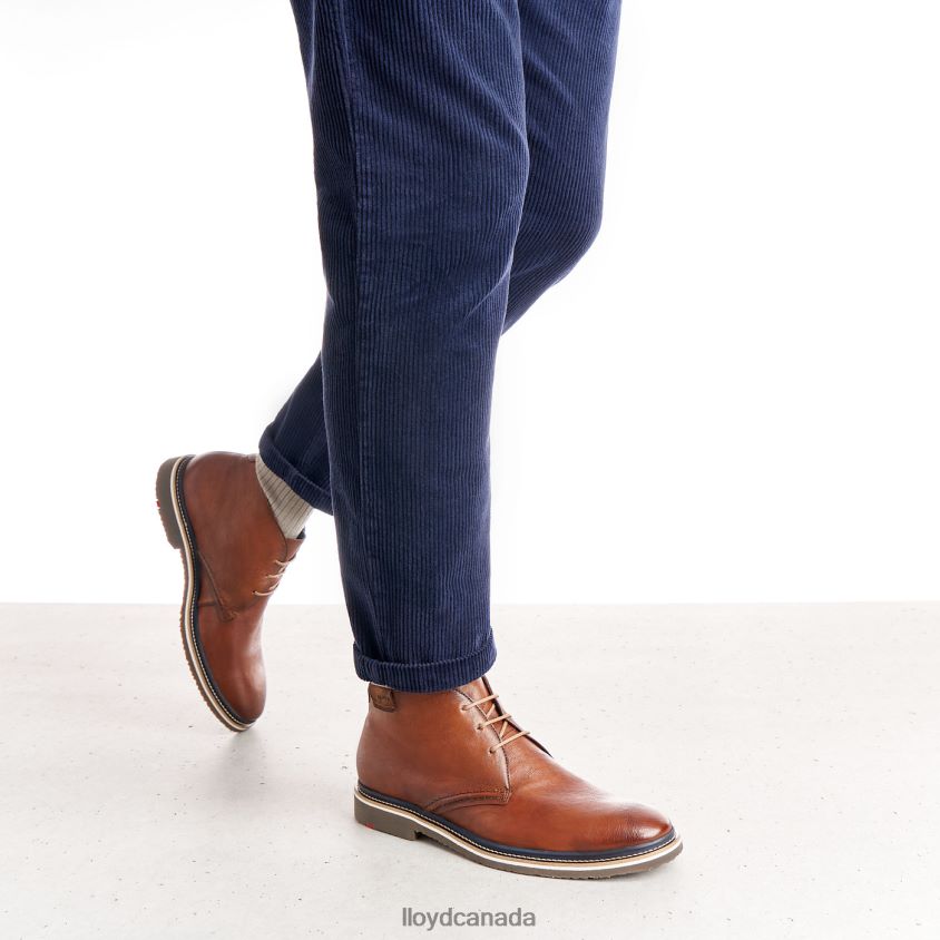 NORKO LLOYD Men brown R084ZF554 Shoes