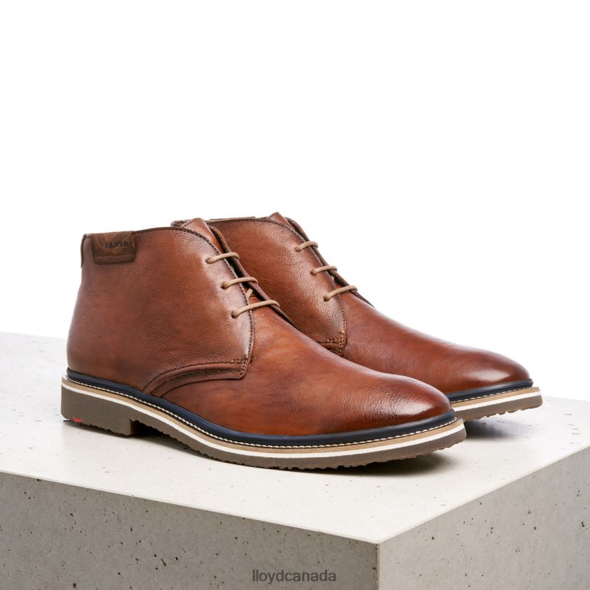 NORKO LLOYD Men brown R084ZF554 Shoes