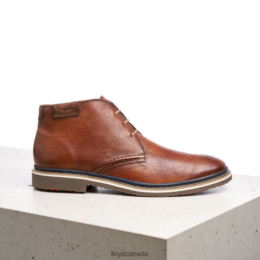 NORKO LLOYD Men brown R084ZF554 Shoes