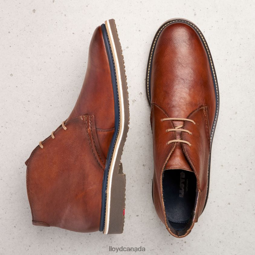 NORKO LLOYD Men brown R084ZF554 Shoes