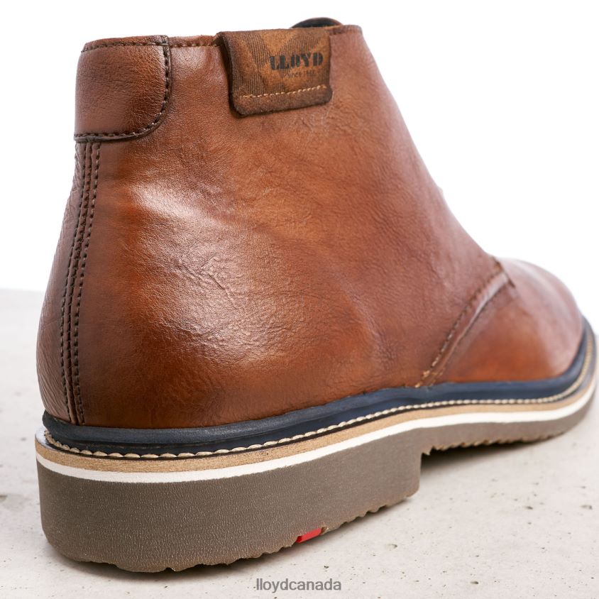 NORKO LLOYD Men brown R084ZF554 Shoes
