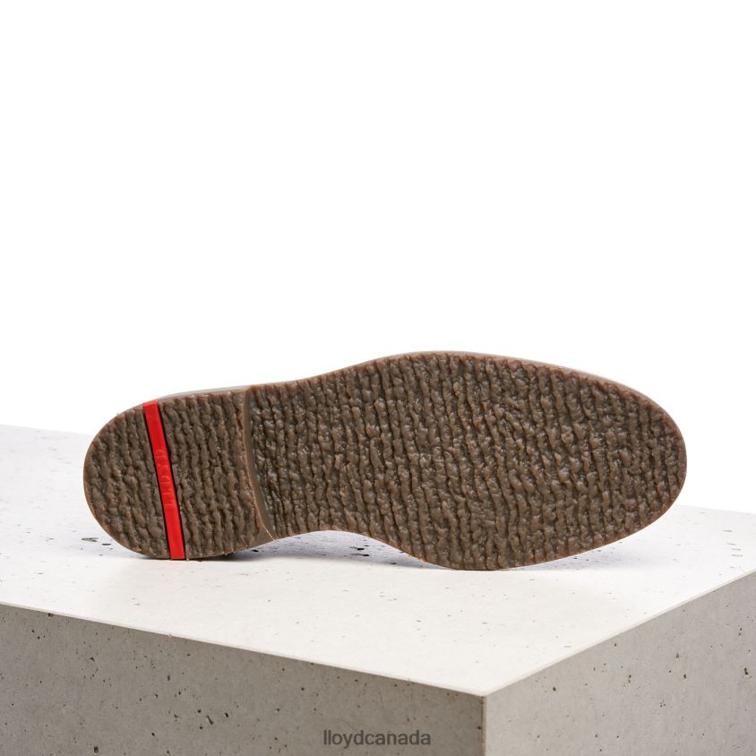 NORKO LLOYD Men brown R084ZF554 Shoes