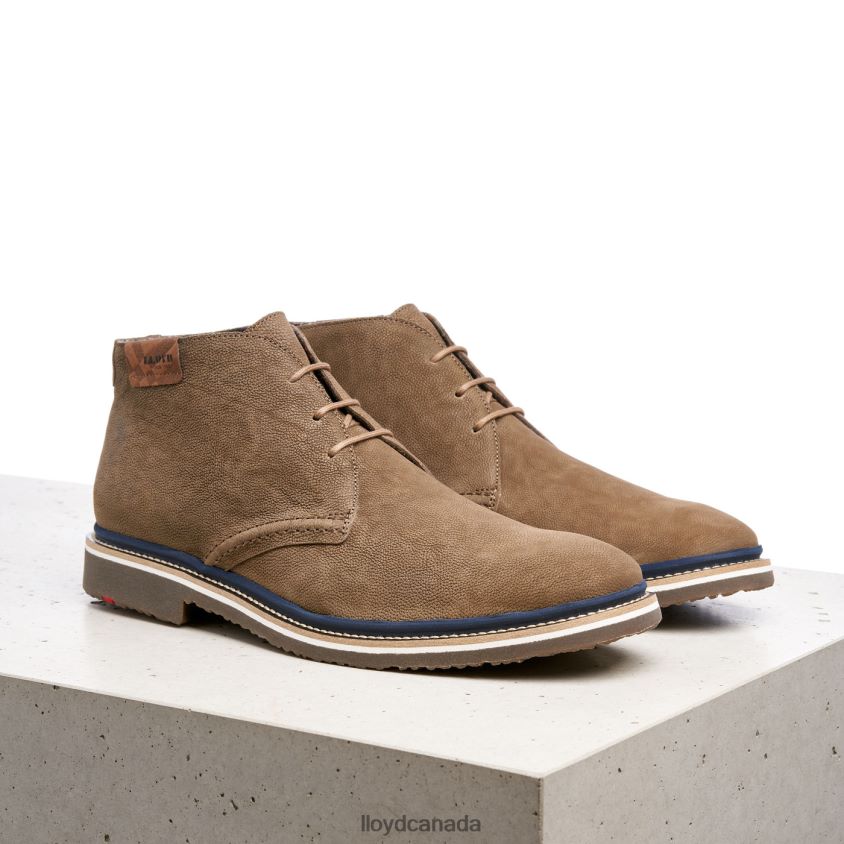 NORKO LLOYD Men brown R084ZF563 Shoes