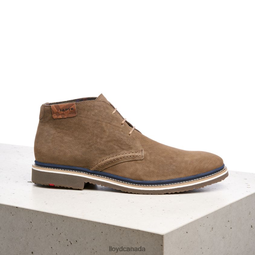 NORKO LLOYD Men brown R084ZF563 Shoes