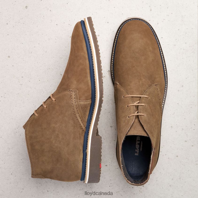 NORKO LLOYD Men brown R084ZF563 Shoes