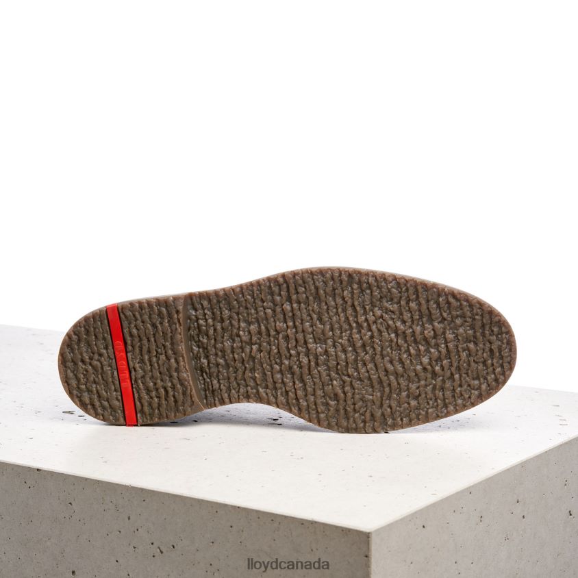 NORKO LLOYD Men brown R084ZF563 Shoes