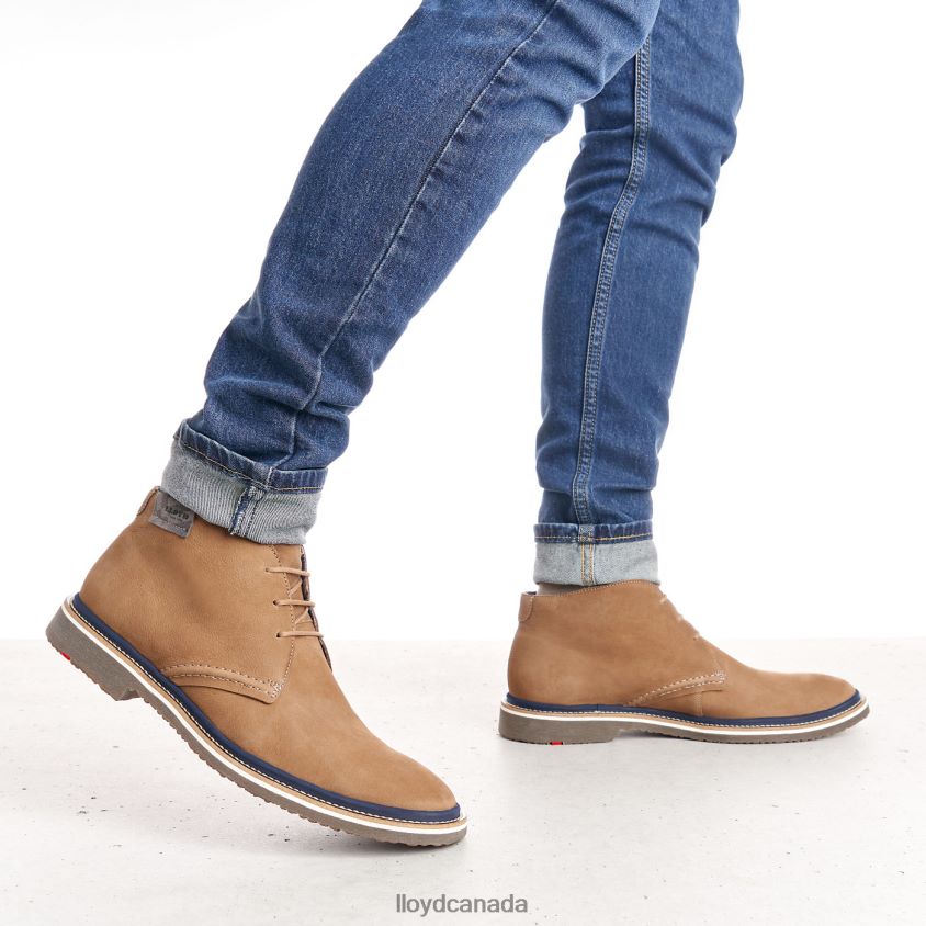 NORKO LLOYD Men brown R084ZF569 Shoes
