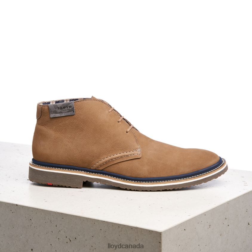 NORKO LLOYD Men brown R084ZF569 Shoes