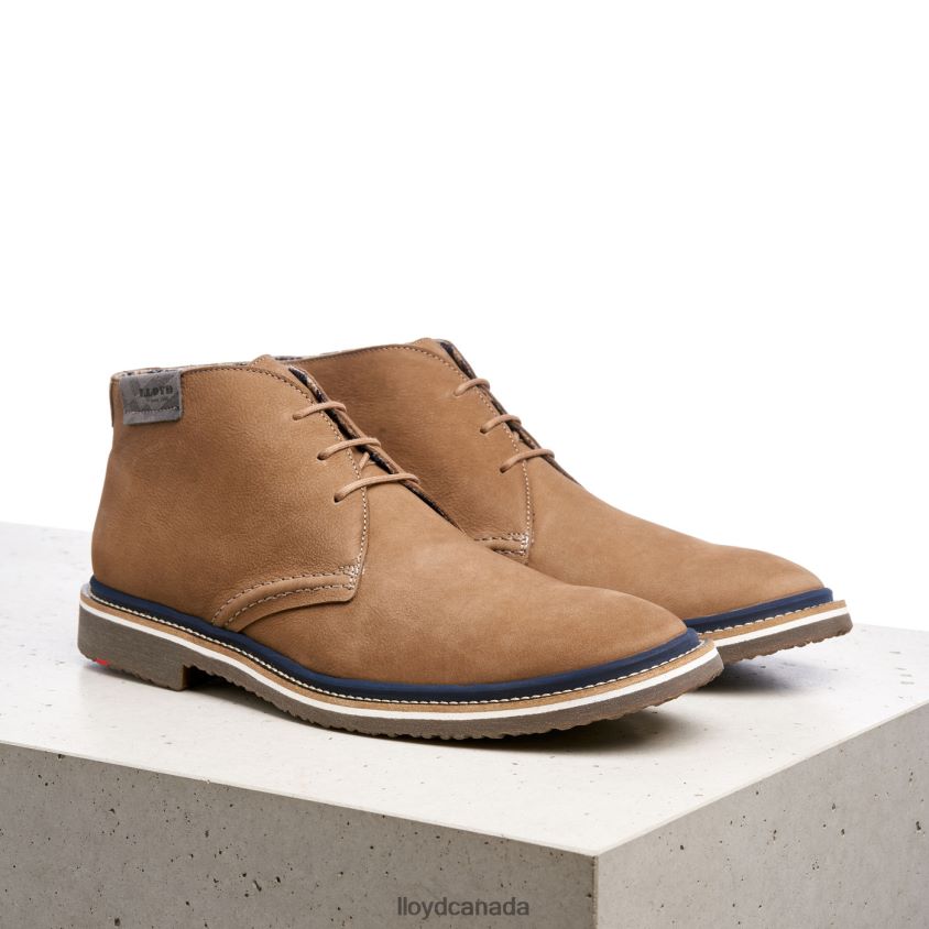 NORKO LLOYD Men brown R084ZF569 Shoes