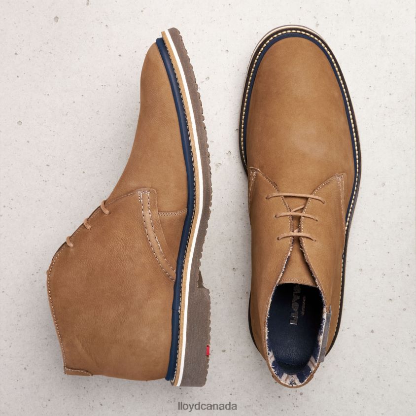 NORKO LLOYD Men brown R084ZF569 Shoes