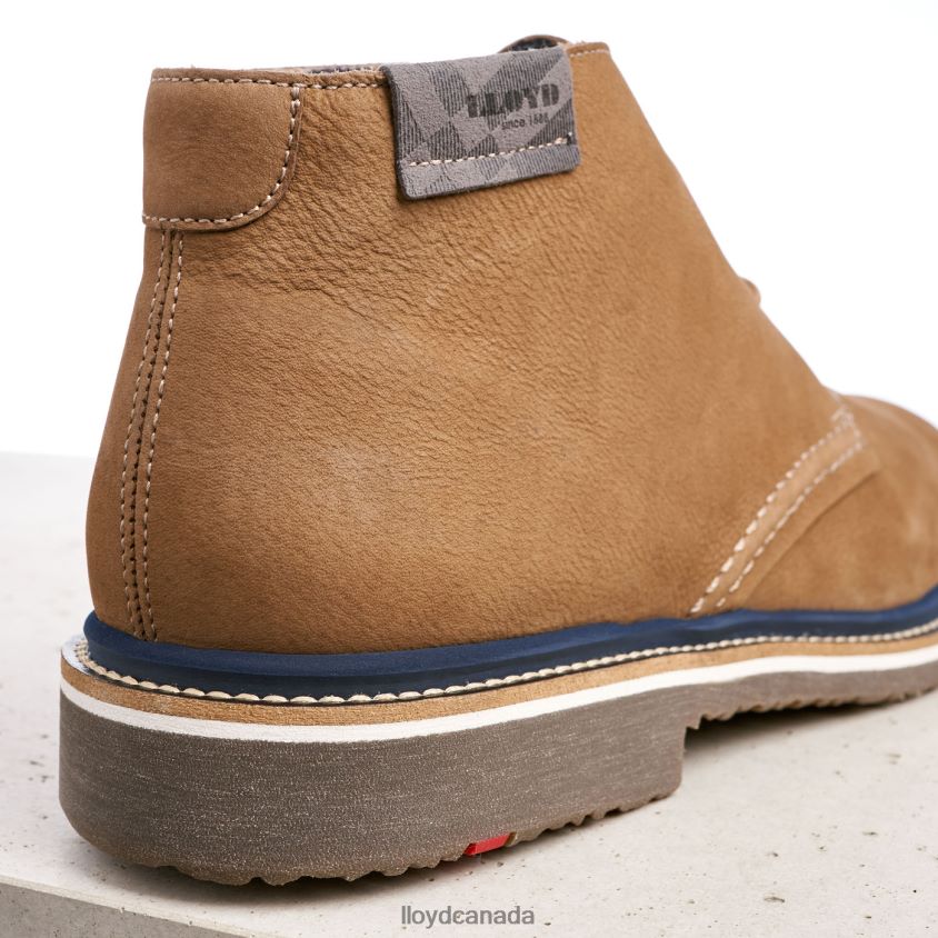 NORKO LLOYD Men brown R084ZF569 Shoes