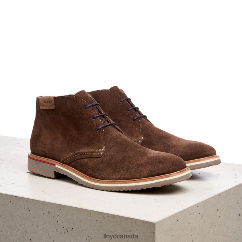 NOVO LLOYD Men brown R084ZF561 Shoes