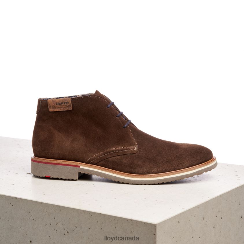 NOVO LLOYD Men brown R084ZF561 Shoes
