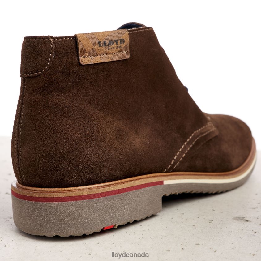 NOVO LLOYD Men brown R084ZF561 Shoes