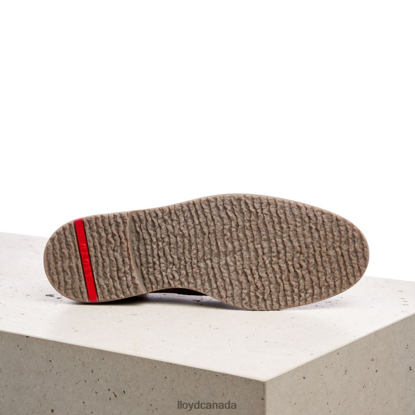 NOVO LLOYD Men brown R084ZF561 Shoes