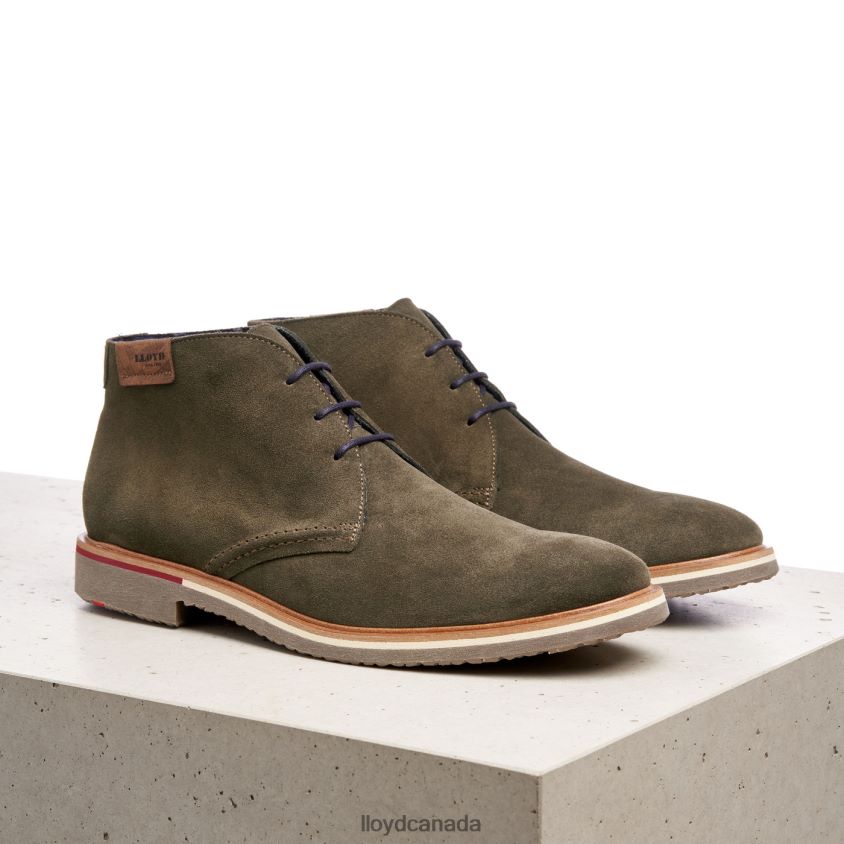 NOVO LLOYD Men brown R084ZF562 Shoes
