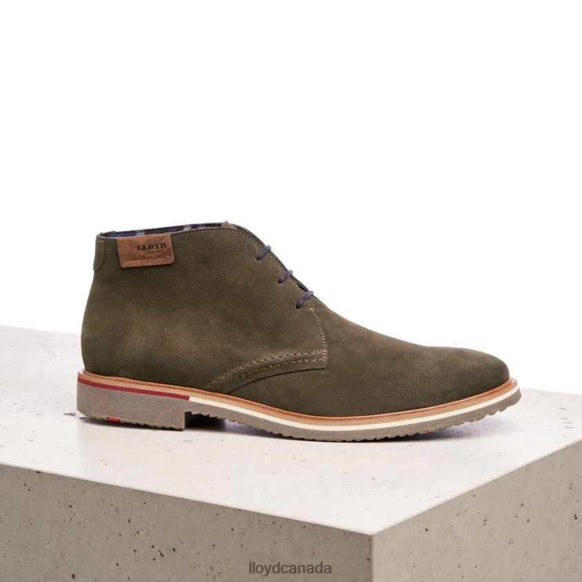 NOVO LLOYD Men brown R084ZF562 Shoes