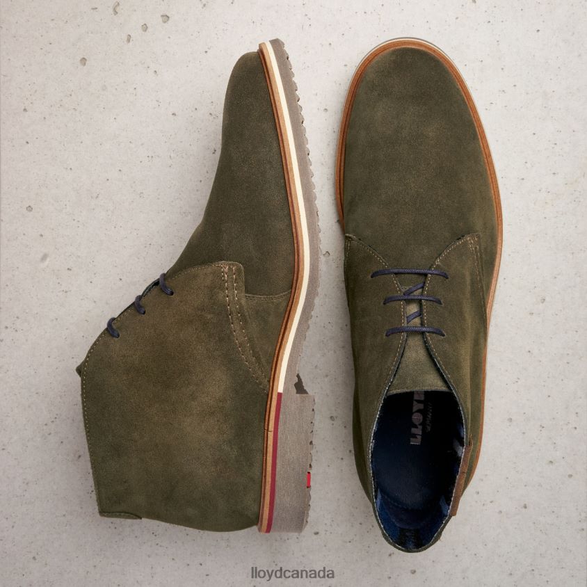 NOVO LLOYD Men brown R084ZF562 Shoes