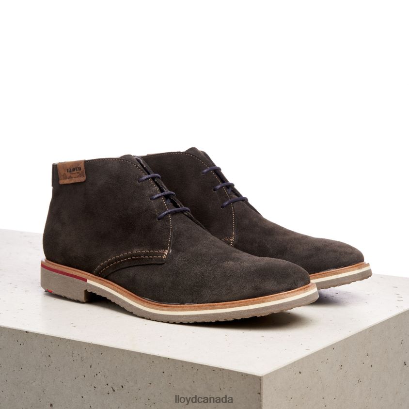 NOVO LLOYD Men grey R084ZF568 Shoes