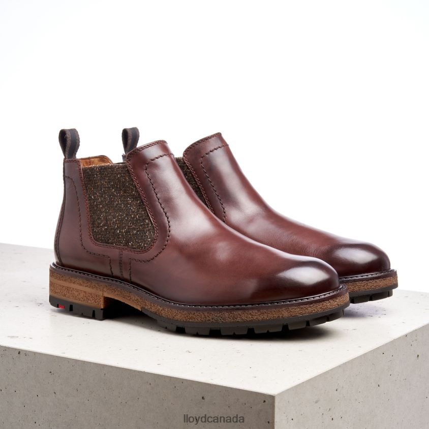 ODEM LLOYD Men brown R084ZF532 Shoes