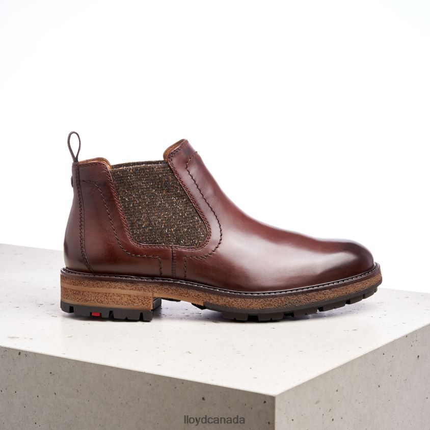 ODEM LLOYD Men brown R084ZF532 Shoes