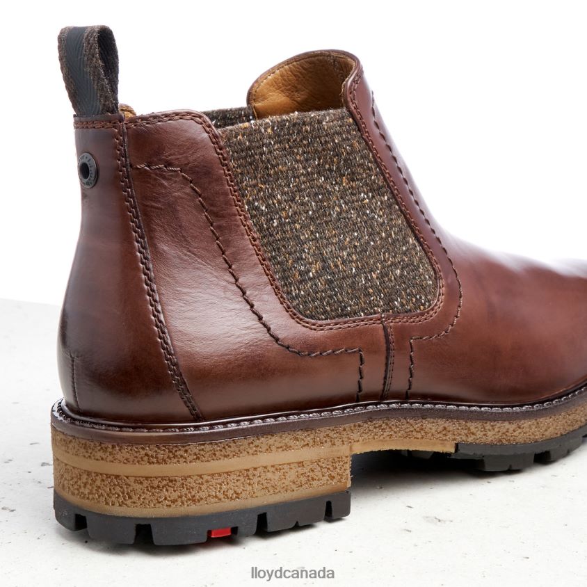 ODEM LLOYD Men brown R084ZF532 Shoes