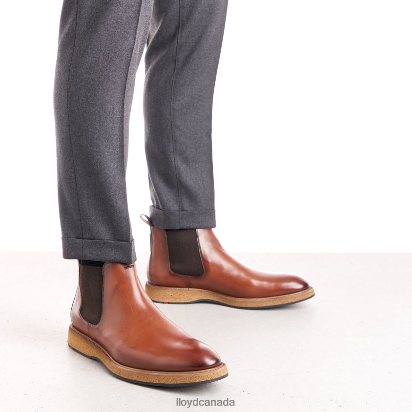 ORIS LLOYD Men brown R084ZF558 Shoes