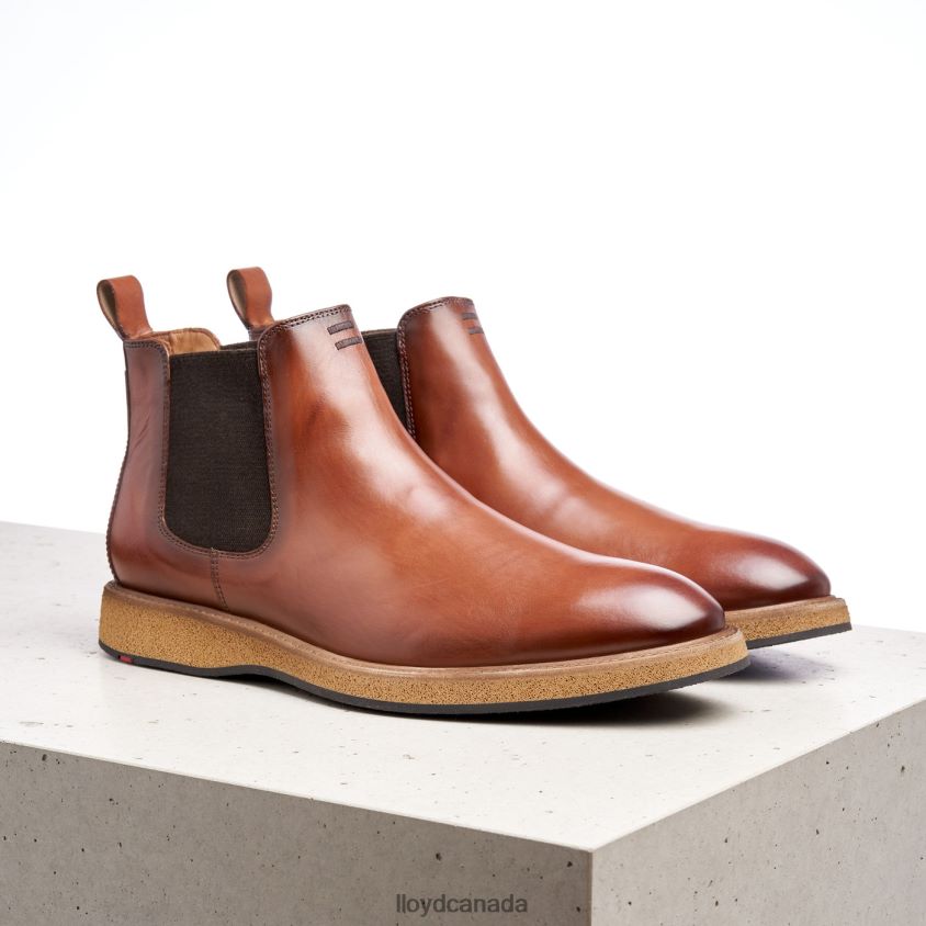 ORIS LLOYD Men brown R084ZF558 Shoes