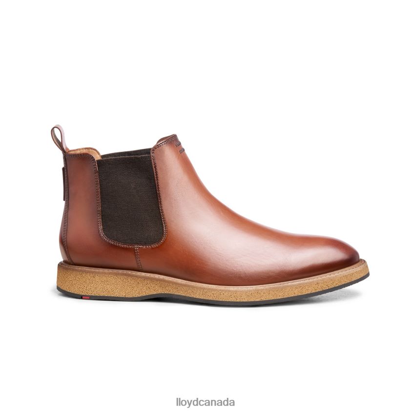 ORIS LLOYD Men brown R084ZF558 Shoes