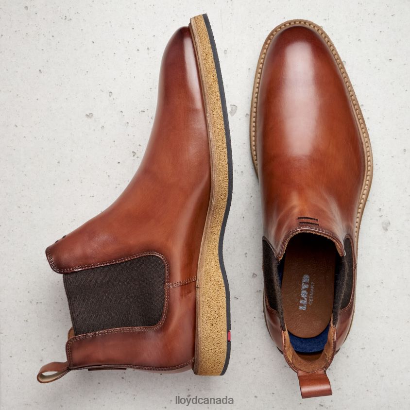 ORIS LLOYD Men brown R084ZF558 Shoes