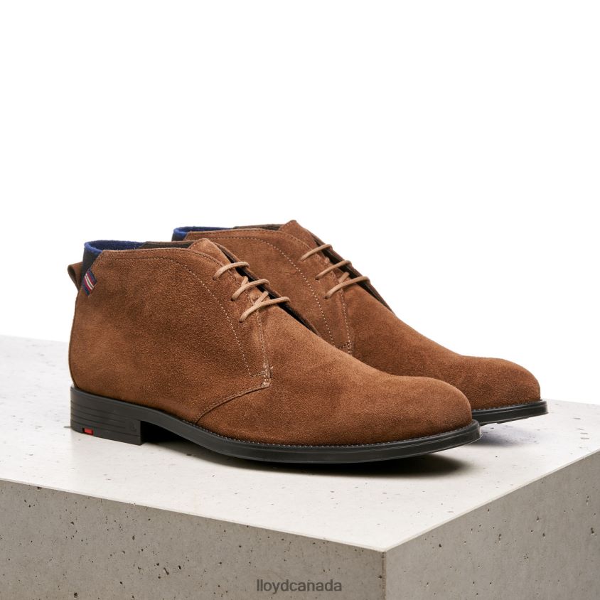 PATRIOT LLOYD Men brown R084ZF531 Shoes