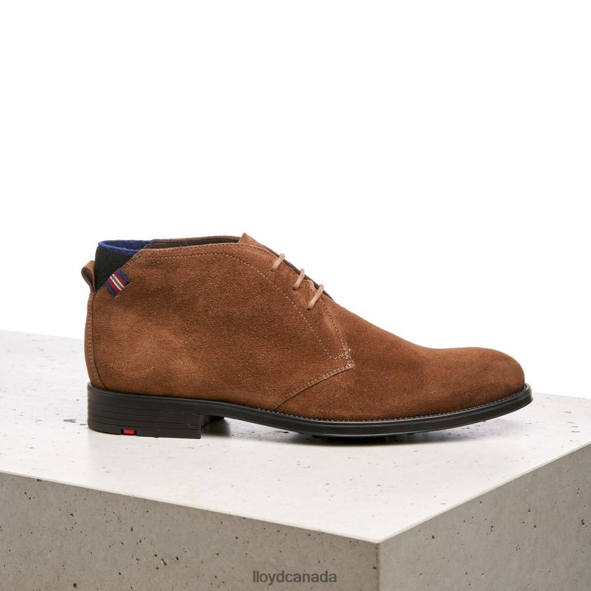 PATRIOT LLOYD Men brown R084ZF531 Shoes