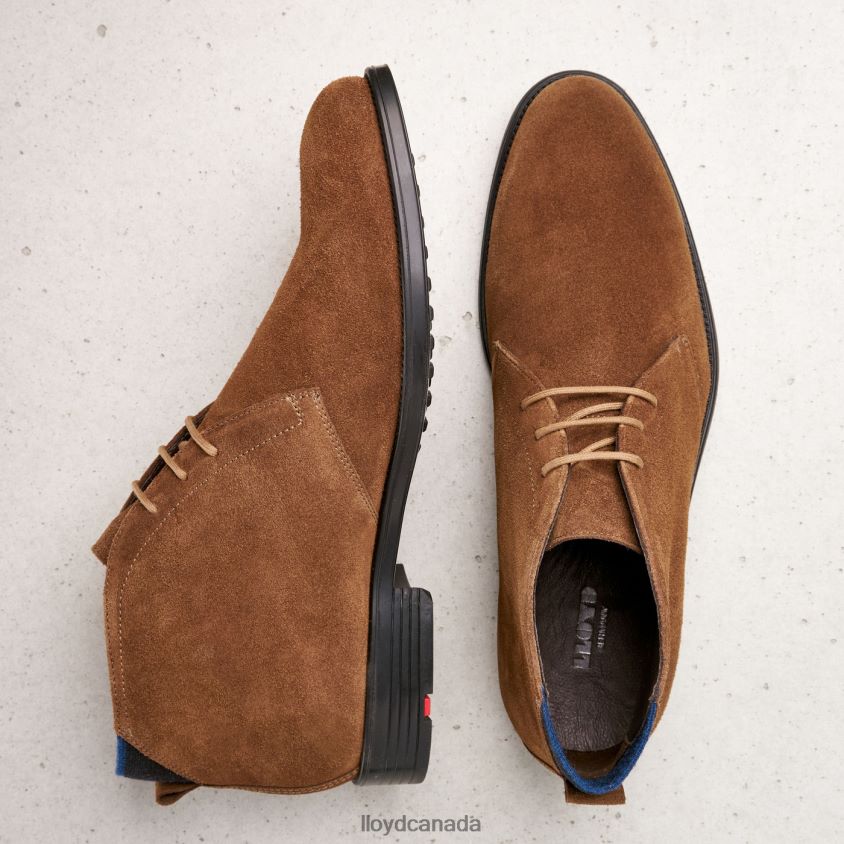 PATRIOT LLOYD Men brown R084ZF531 Shoes