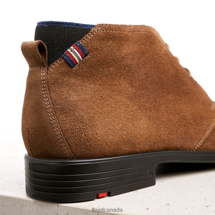 PATRIOT LLOYD Men brown R084ZF531 Shoes