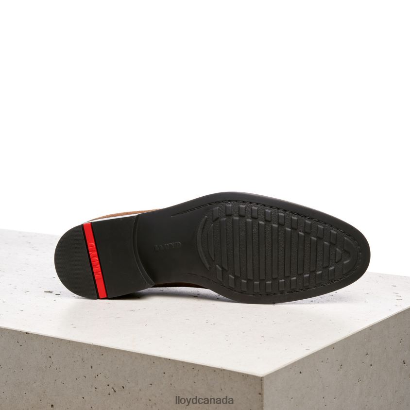 PATRIOT LLOYD Men brown R084ZF531 Shoes