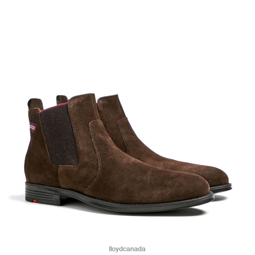 PATRON LLOYD Men brown R084ZF497 Shoes