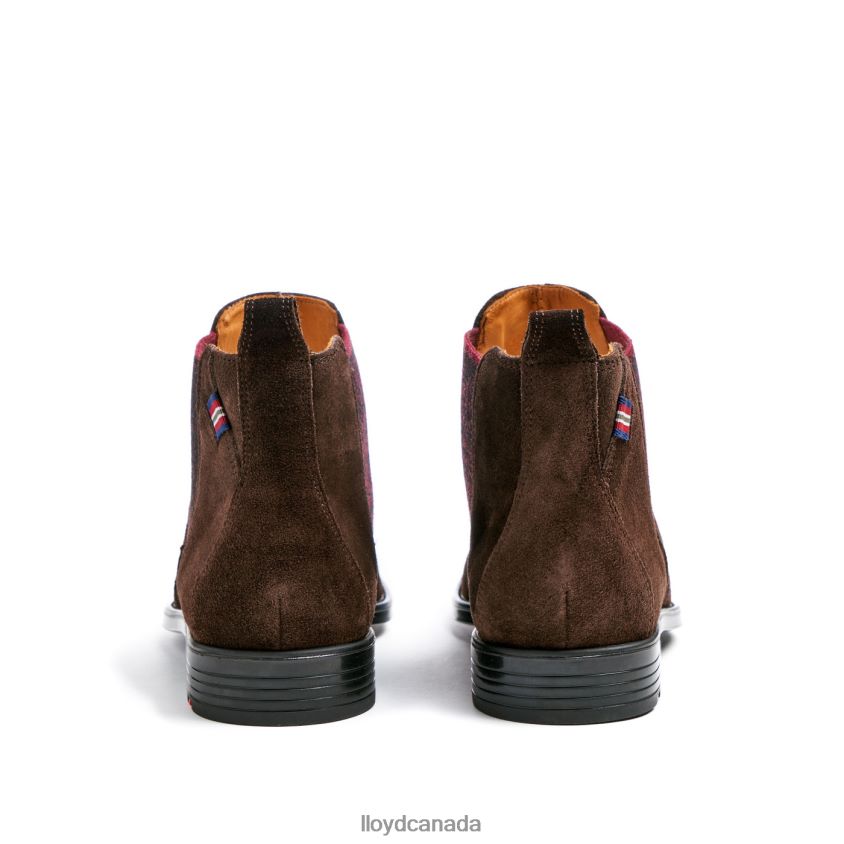 PATRON LLOYD Men brown R084ZF497 Shoes