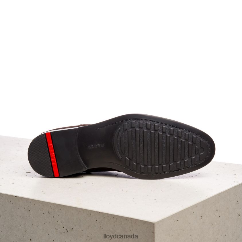 PATRON LLOYD Men brown R084ZF497 Shoes