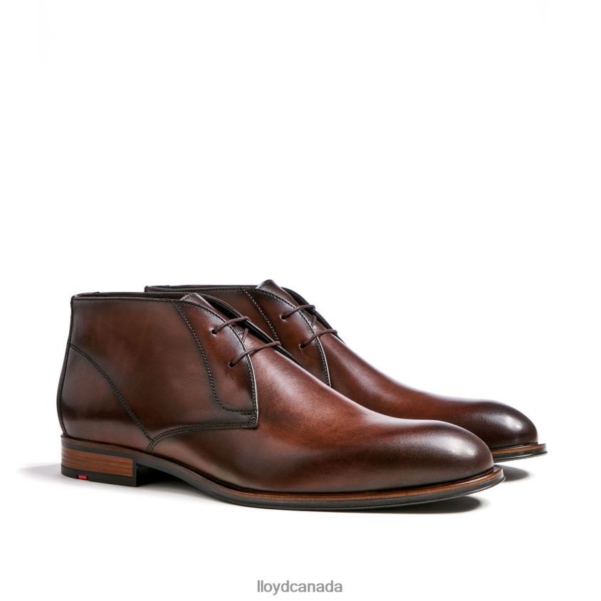 SANTOS LLOYD Men brown R084ZF494 Shoes