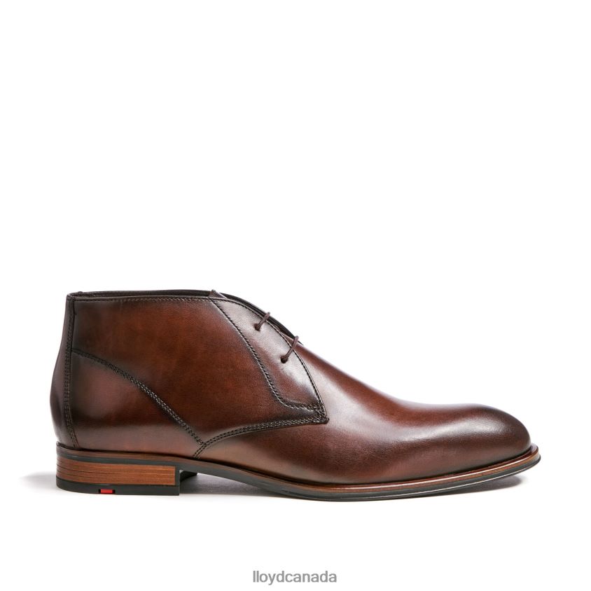 SANTOS LLOYD Men brown R084ZF494 Shoes