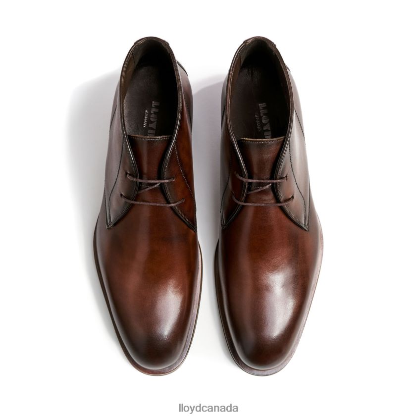 SANTOS LLOYD Men brown R084ZF494 Shoes