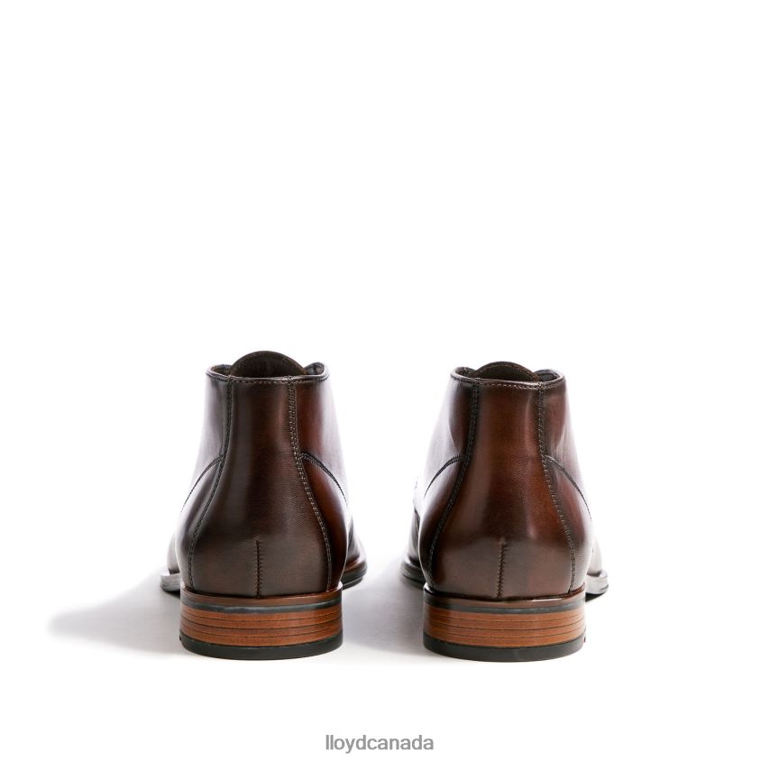 SANTOS LLOYD Men brown R084ZF494 Shoes