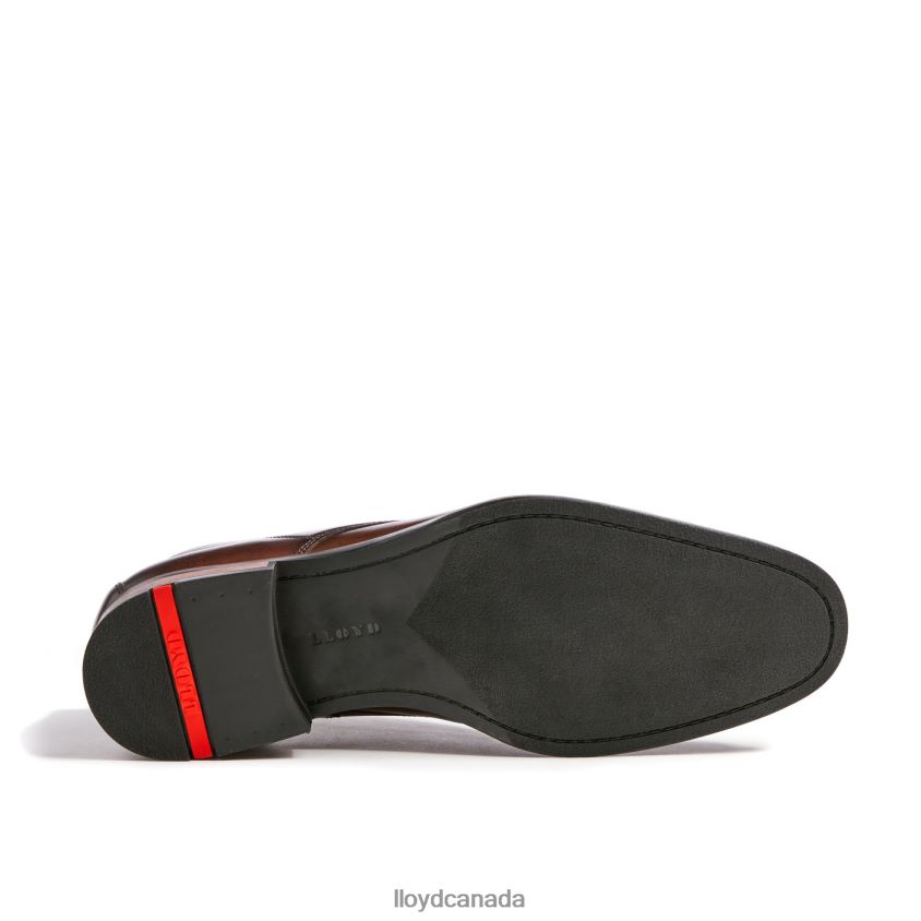 SANTOS LLOYD Men brown R084ZF494 Shoes