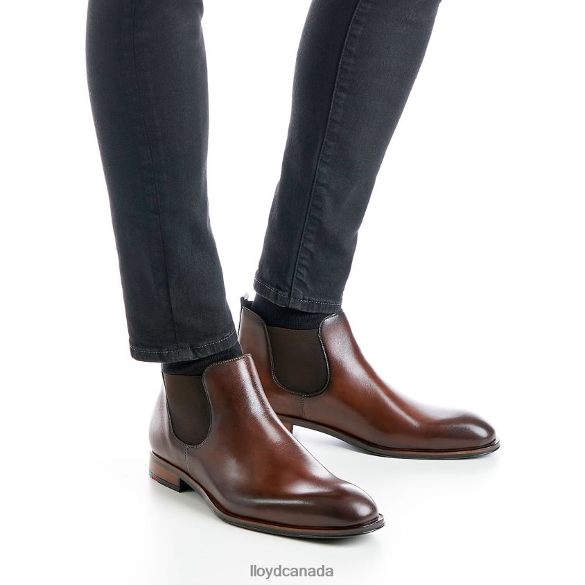 SCOUT LLOYD Men brown R084ZF239 Shoes