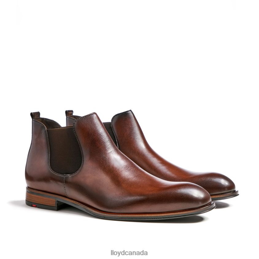 SCOUT LLOYD Men brown R084ZF239 Shoes