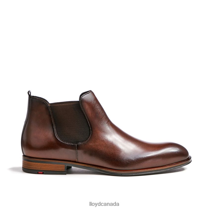 SCOUT LLOYD Men brown R084ZF239 Shoes